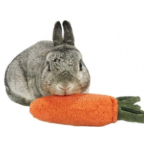 Hamsteri Rabbit Chew Lelut Porkkana Sisupeli Chinchilla Tarvikkeet