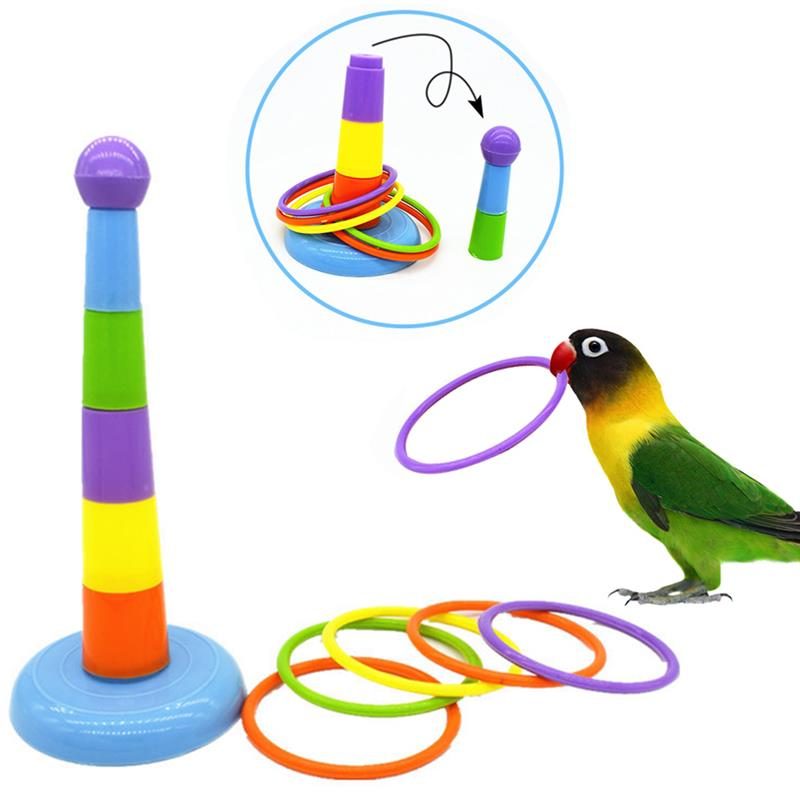 Bird Rings Toy Intelligence Training -korkeussäädettävä Lelusarja