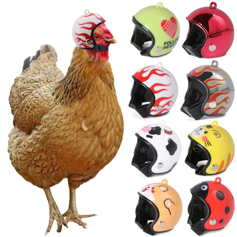 Chicken Helmet Cap Lemmikkieläinten Suojavarusteet Auringon Sadesuojakypärä