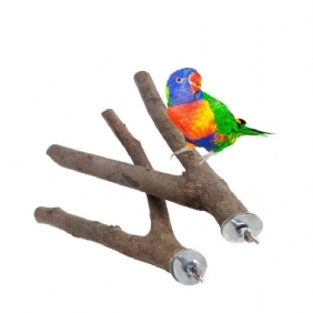 Parrot Wood Branch -telineen Telinelelu