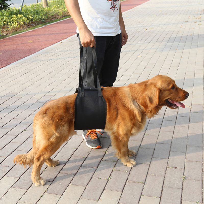 Dog Lift Support Canine Sling