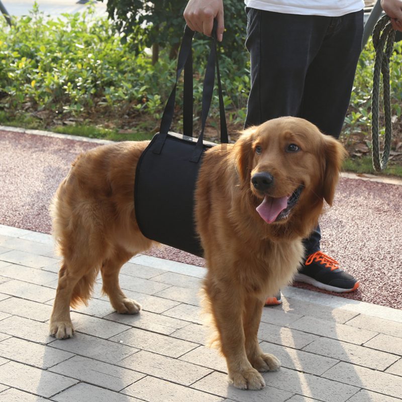 Dog Lift Support Canine Sling