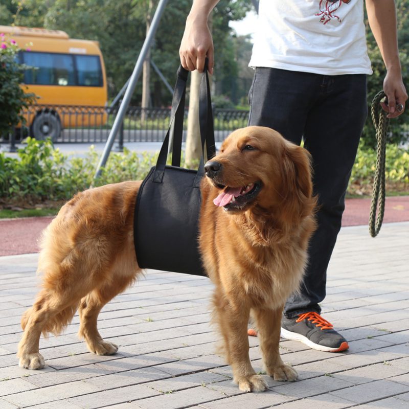 Dog Lift Support Canine Sling