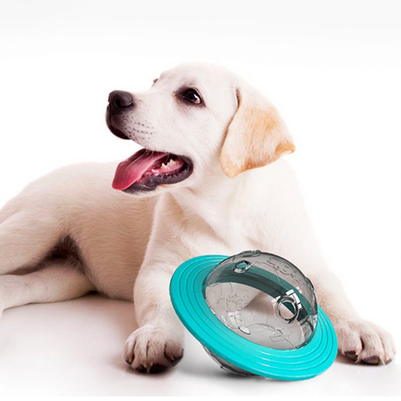 Flying Disc Dog Lelut Slow Food Feeder Ball Puppy Iq Training