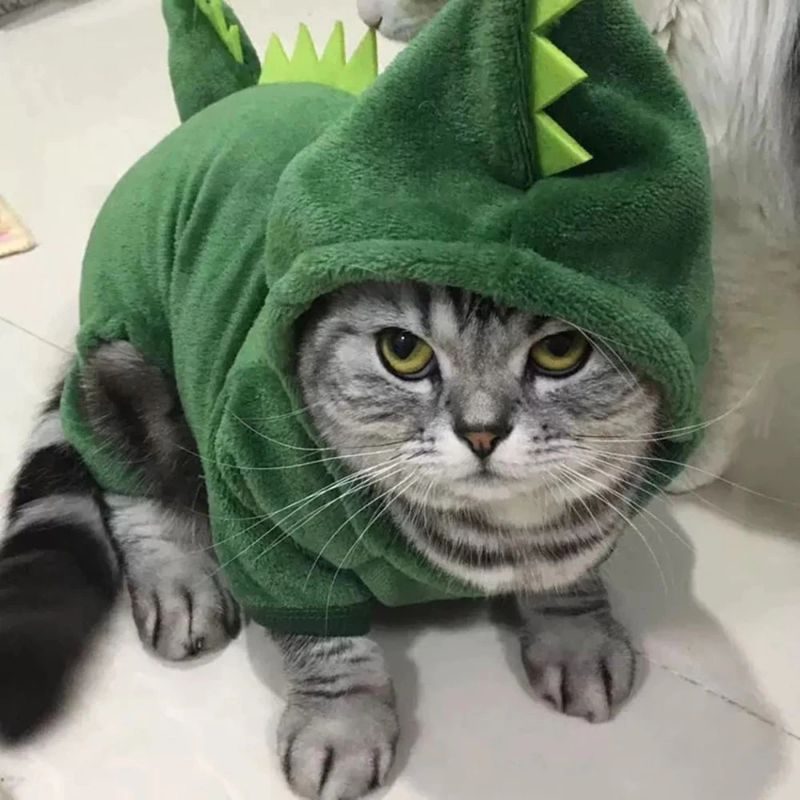 Kissa Dinosaur Costume Lämmin Pehmohuppari