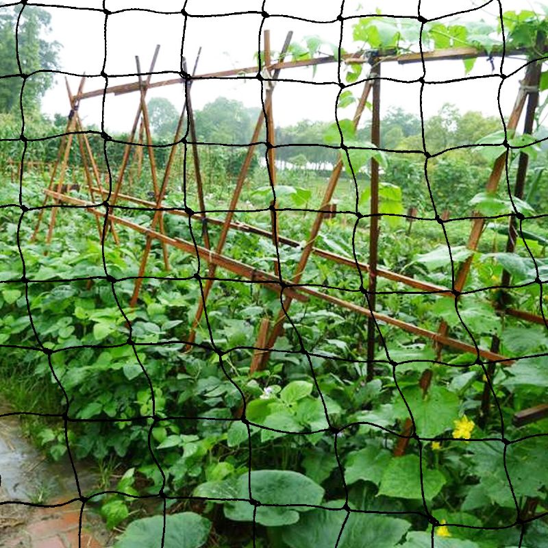 Hedelmät Verkko Kukka Vihannekset Kasvit Suojakuori Nylon Bird Net Outdoor