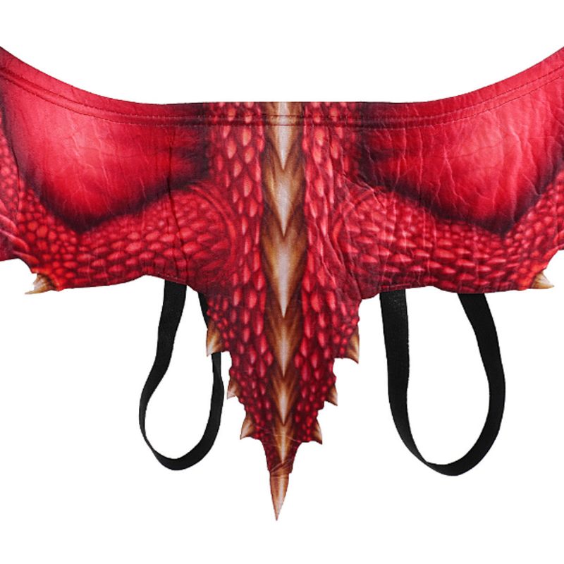 3d Halloween Cosplay Wings Dragon Wing Mardi Gras -asuvaatteet