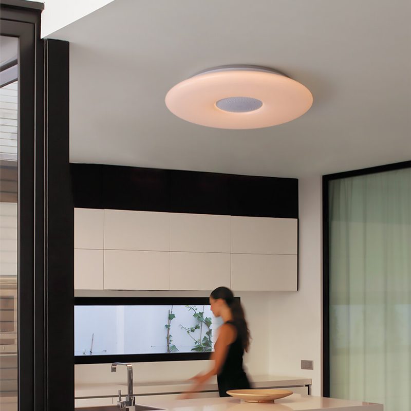 Offdarks Smart Ceiling Light Lxd-xg36-sp Wifi Ääniohjaus Bluetooth Kaiutin App Kaukosäädin Makuuhuone Keittiö Musiikki Kattolamppu