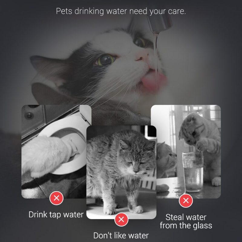 Cat Water Fountain Filter Automaattinen Anturi