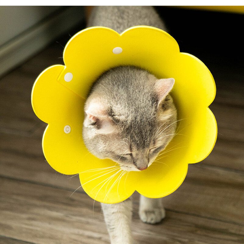 Sunflower Cat Elisabetin Kaulan Suojaava Kaulus Puremisenesto