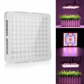 100 Led Grow Light Täyden Spektrin Paneeli Sisäkäyttöön Tarkoitettuun Vesikasvikasvivalaisimeen