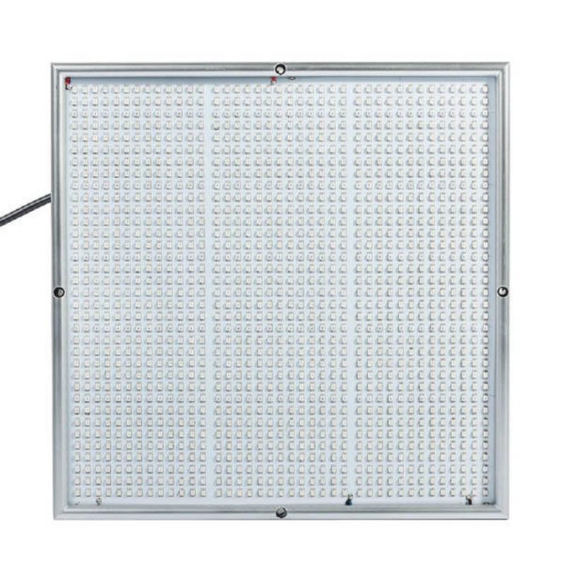 100w 1131red 234blue Led Grow Light Kasvinviljelylamppu Puutarha Kasvihuone Kasvien Taimivalo