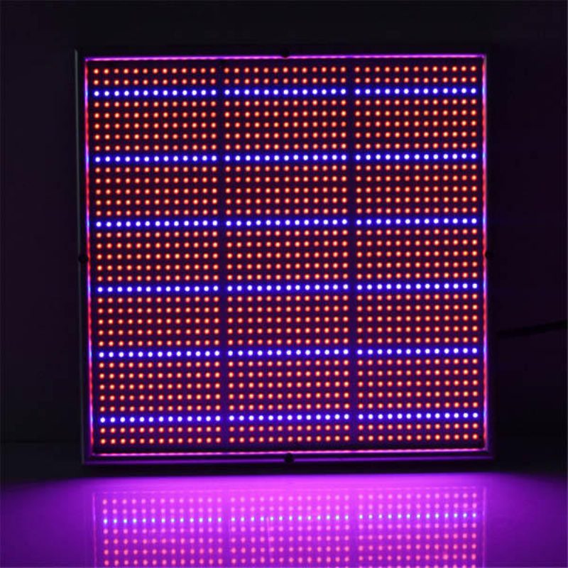 100w 1131red 234blue Led Grow Light Kasvinviljelylamppu Puutarha Kasvihuone Kasvien Taimivalo