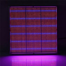 100w 1131red 234blue Led Grow Light Kasvinviljelylamppu Puutarha Kasvihuone Kasvien Taimivalo