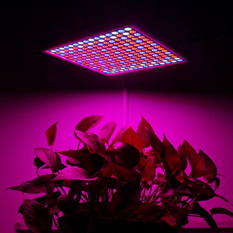 1200 W Led Spectrum Grow Light -kasvatuslamppu Hydroponiseen Sisäkasviin