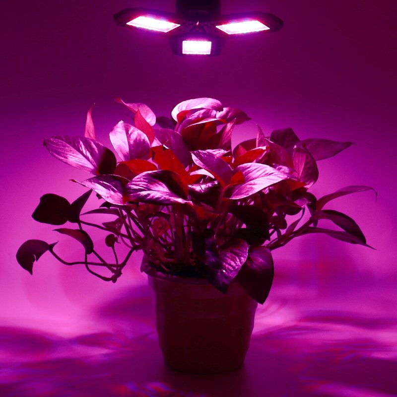 144 Led Grow Lights Panel Täysspektri E27 Led Kasvinkasvatus Kasvihuonelamppu