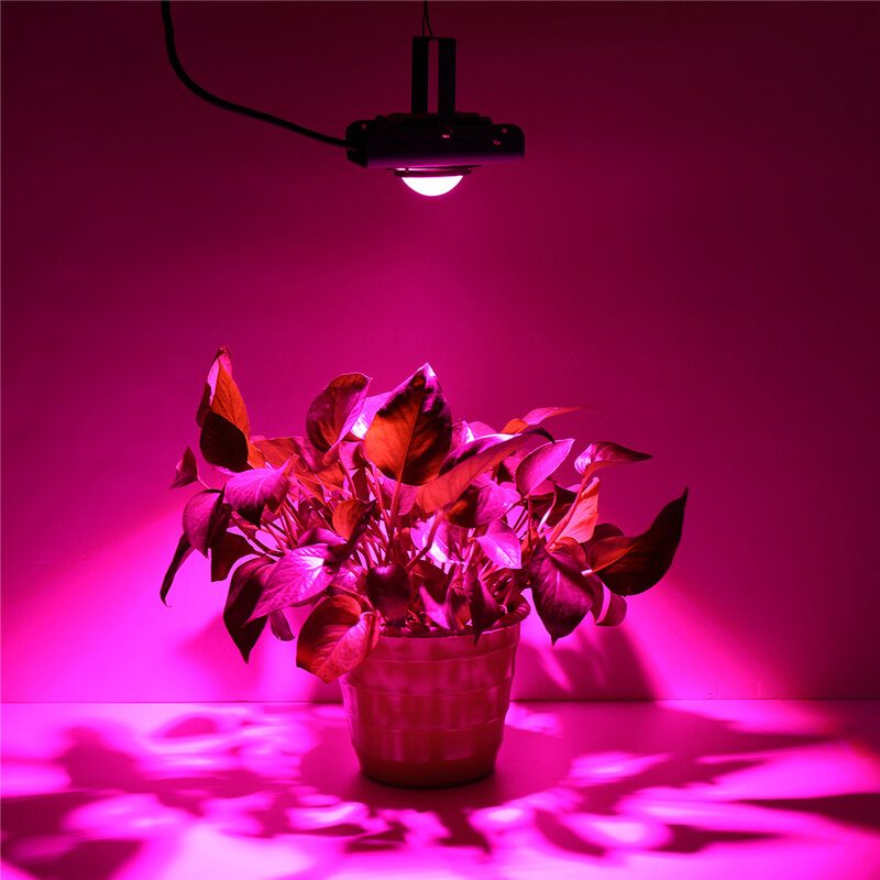 144led Cob Plant Grow Light Täyden Spektrin 380-800nm 4000k Hydroponinen Kasvulamppu