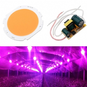 20 W Led Cob Round Grow Light Chip Diy Ac90-240v Ohjainvirtalähteellä Sisäkasvien Kukkalle