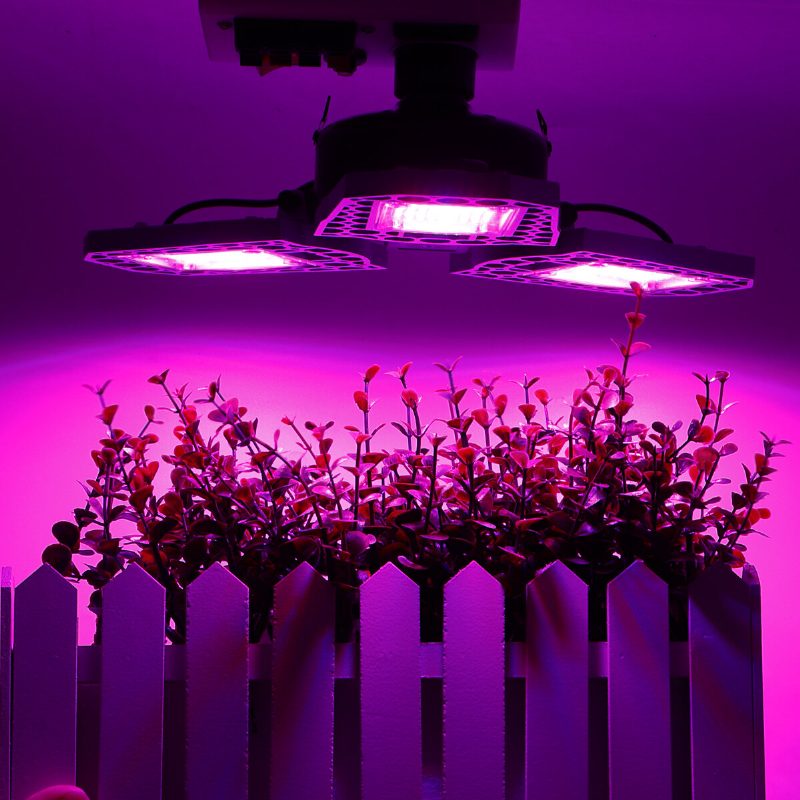 216/297 Led Grow Light Taitettava Punainen Ja Sininen Valo Lastentarhan Lisävalaistukseen E27 Vedenpitävä Kasvien Kasvuvalo