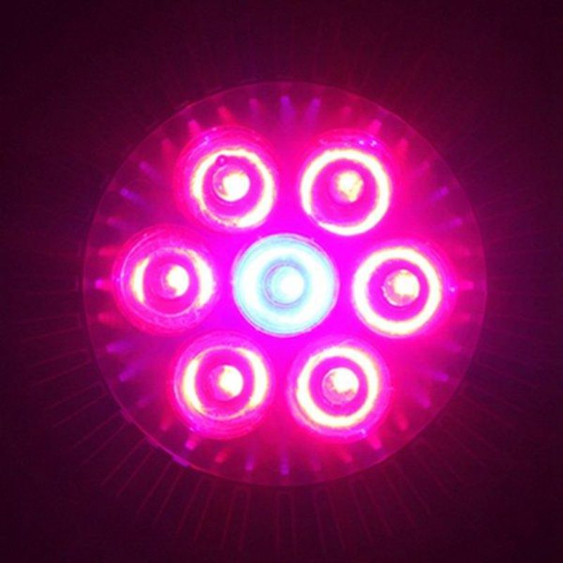 21w E27 Punainen + Sininen Led Plant Grow Light Lamppu Kukka Hydroponic Globe Polttimo 85-265v