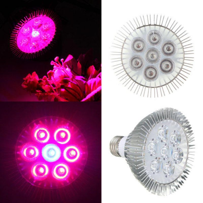 21w E27 Punainen + Sininen Led Plant Grow Light Lamppu Kukka Hydroponic Globe Polttimo 85-265v