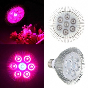 21w E27 Punainen + Sininen Led Plant Grow Light Lamppu Kukka Hydroponic Globe Polttimo 85-265v