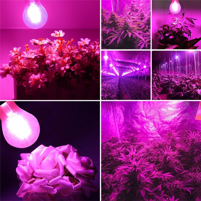 2w E27 B22 A60 Led Plant Grow Lamppu Hydroponics Kasvihuoneeseen Ei-himmennettävä Ac85-265v