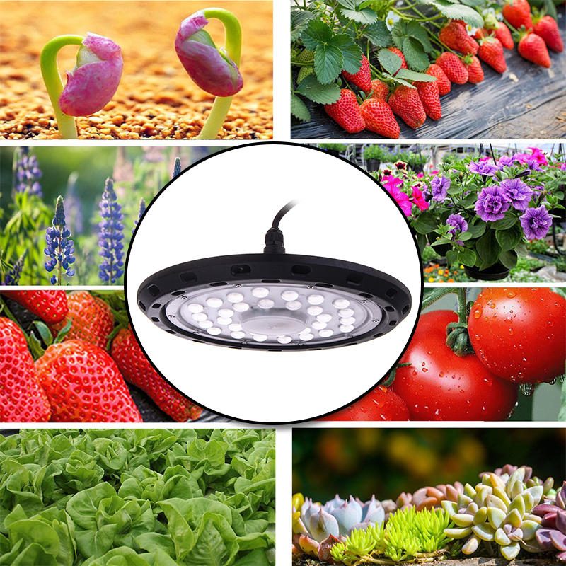 300 W Led Grow Light Full Spectrum Hydroponics Greenhouse Lamp Plant Polttimo