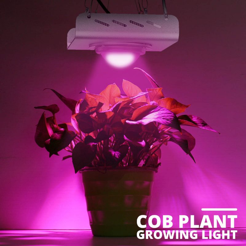 3000w 2600lm 144led Cob Grow Light Full Spectrum Lamp Plant Hydroponics Flower A