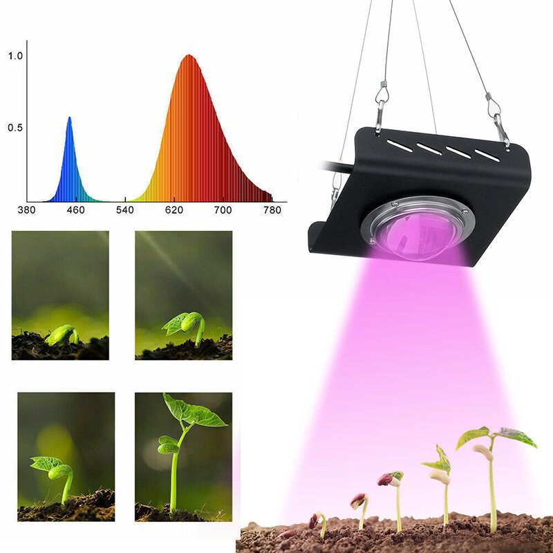 3000w 2600lm 144led Cob Grow Light Full Spectrum Lamp Plant Hydroponics Flower A