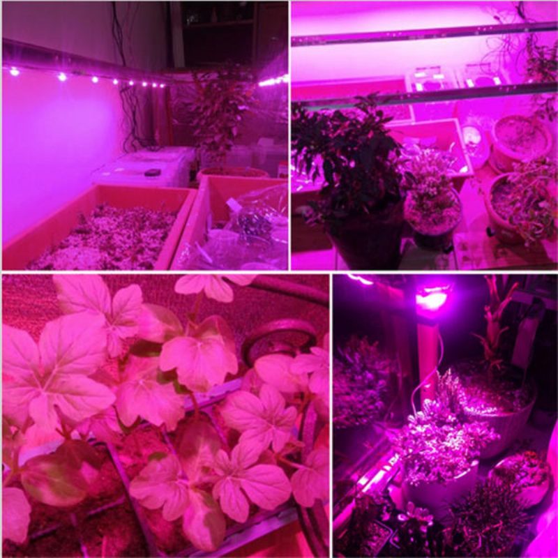 30w/50w/70w Suuritehoinen Täyden Spektrin Led Grow Cob -valosiru Kasveille Vihannes Ac110v/ac220v