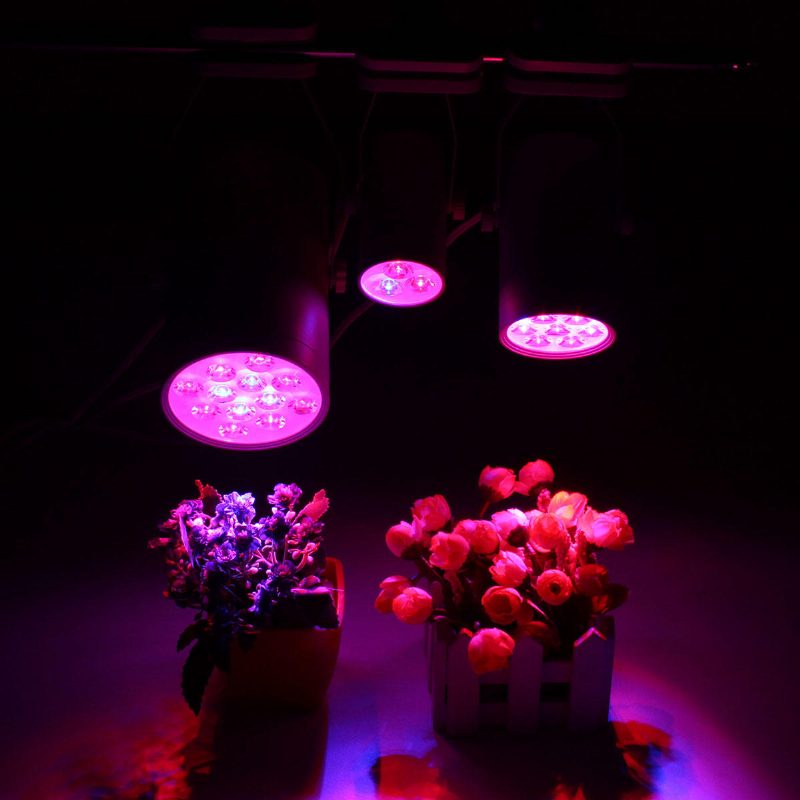 3w 7w 12w Led-kasvivalot Grow Lamp Flood -lisävalo