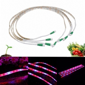 4 Kpl 20w 36 Led Grow Light Strip Punainen: Sininen 4:1 Vedenpitävä Led Plant Eu/us Plug Ac100-240v