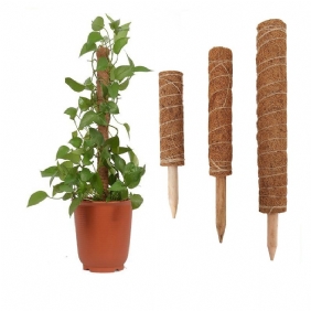 4 Pack Coir Totem Tant Plant Moss Stick Tank Kiipeilykasvien Tukijatke Kiipeily Sisäkasvit Creepers