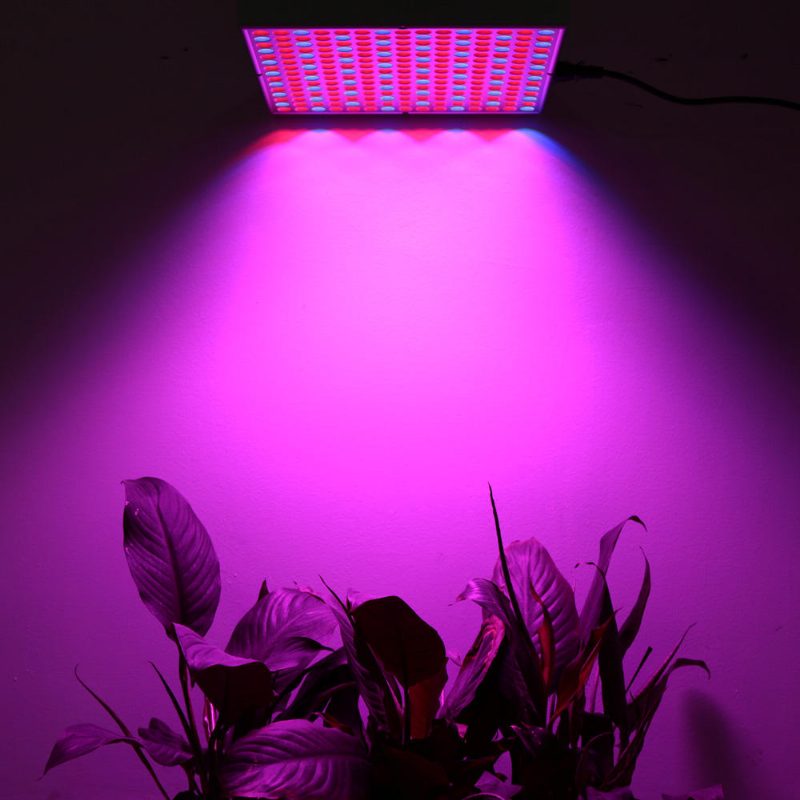 45 W 200 W Heijastinkuppi Täysspektri Led Grow Valot Telttalaatikkoon Sisälle Kasvihuoneeseen