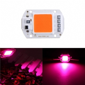 50 W Täyden Spektrin Led Cob Chip Plant Grow Light Ac220/110v