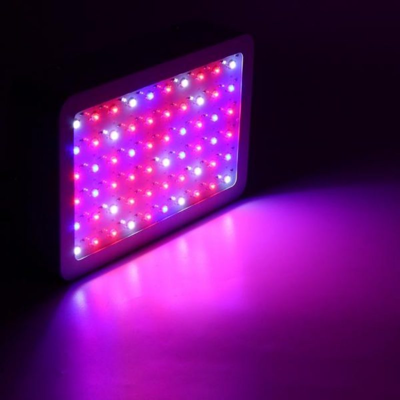 50 W:n Täyden Spektrin Led Grow Light Hydroponinen Sisäkasvivalaisin