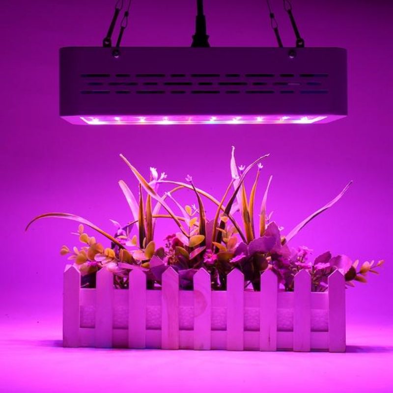 50 W:n Täyden Spektrin Led Grow Light Hydroponinen Sisäkasvivalaisin