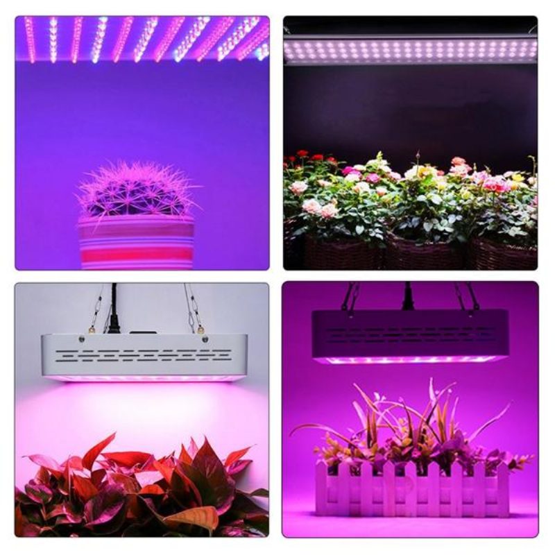 50 W:n Täyden Spektrin Led Grow Light Hydroponinen Sisäkasvivalaisin