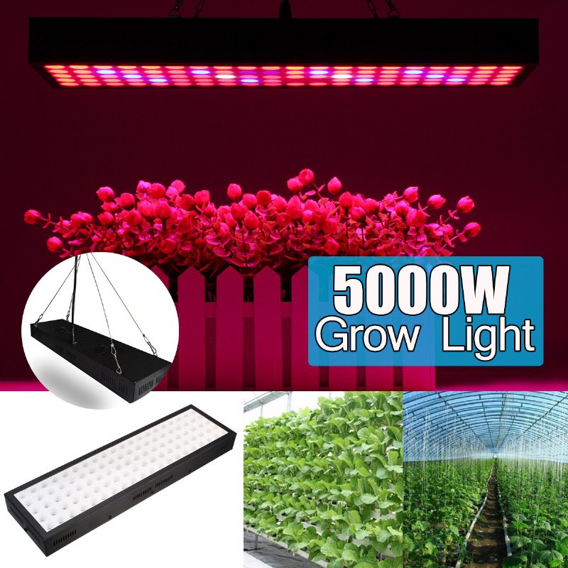 5000 W Led Grow Light Strip Hydroponinen Täyden Spektrin Kasvis Kukkakasvien Lamppupaneeli