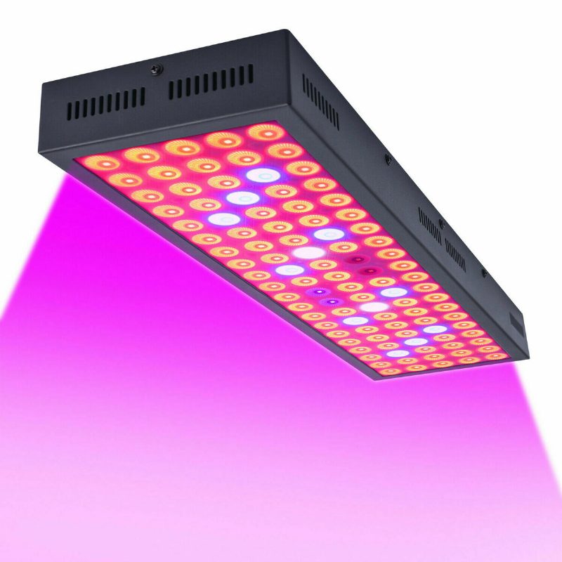 5000 W Led Grow Light Strip Hydroponinen Täyden Spektrin Kasvis Kukkakasvien Lamppupaneeli