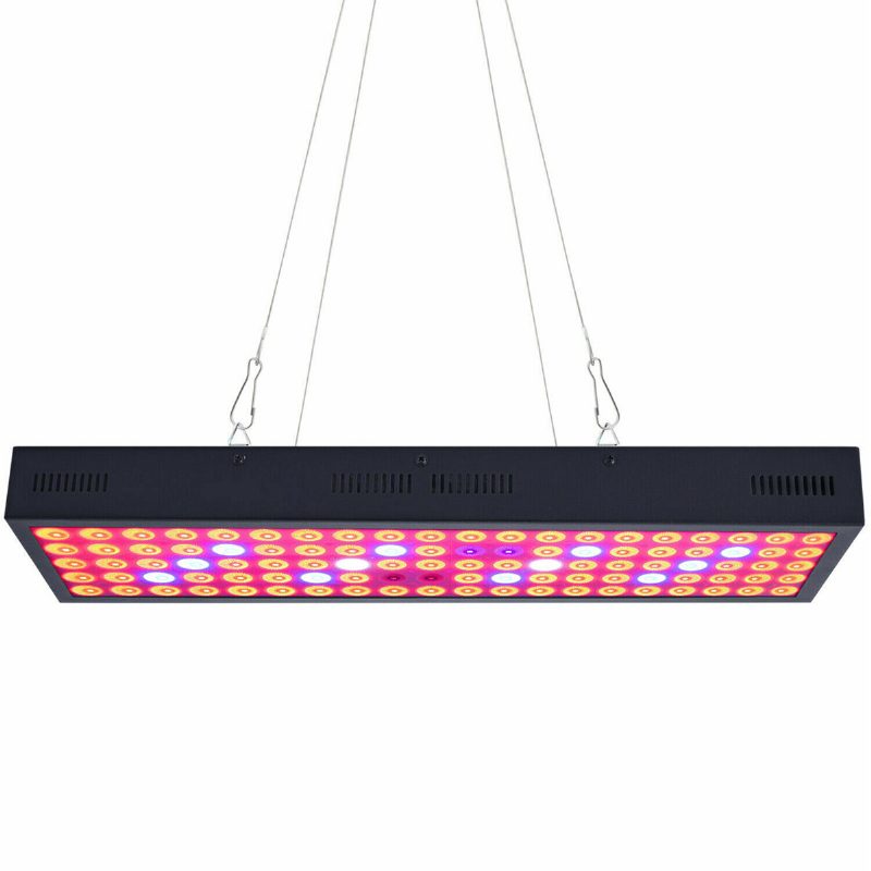 5000 W Led Grow Light Strip Hydroponinen Täyden Spektrin Kasvis Kukkakasvien Lamppupaneeli