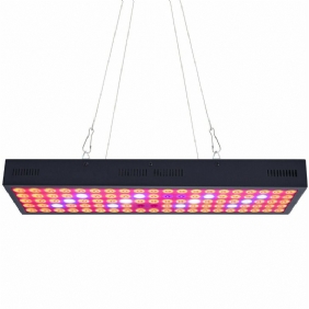 5000 W Led Grow Light Strip Hydroponinen Täyden Spektrin Kasvis Kukkakasvien Lamppupaneeli