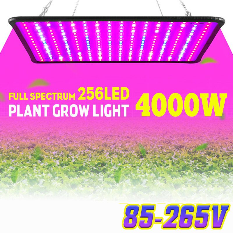 5000 W Led-täysspektri Kasvi-uv-valaisin Kasvisten Kasvatuslamppu Sisäkäyttöön