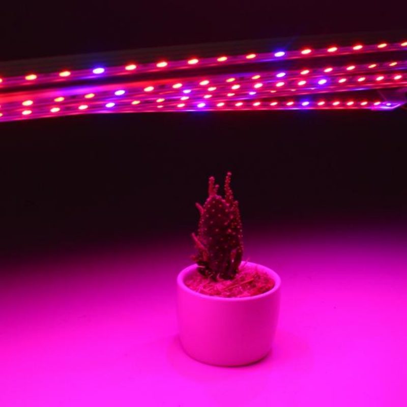 5kpl 50cm Smd5050 Ei-vedenpitävä 5:1 Led-nauhavalo + 5a Virtasovitin Grow Plant Gardeniin Dc12v