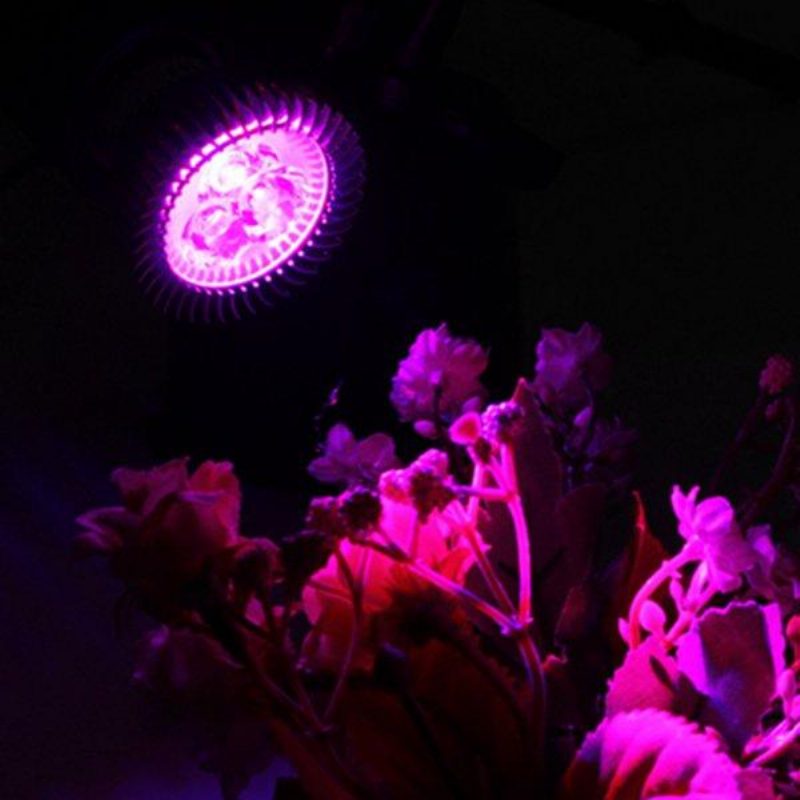 6w E27 Punainen + Sininen Led Plant Grow Light Lamp Flower Hydroponic Globe Polttimo 85-265v