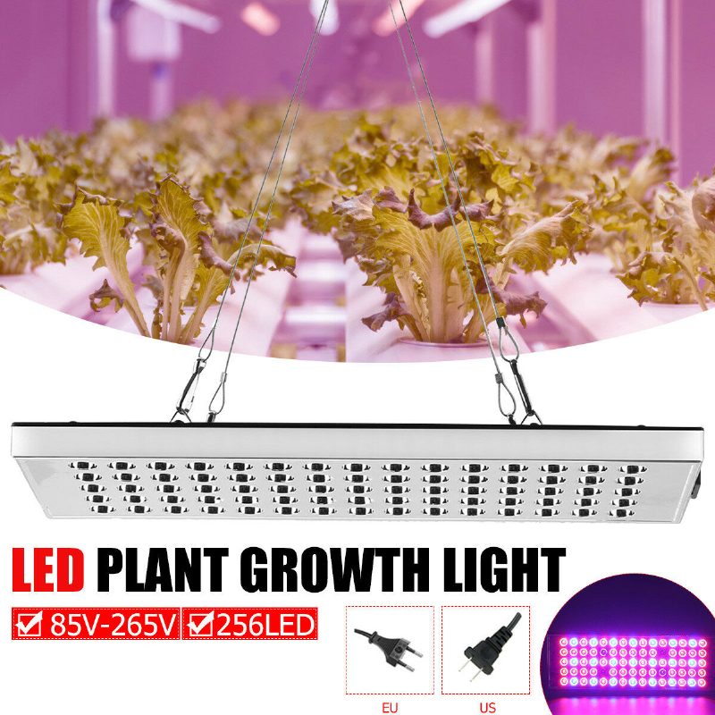 800 W Led Grow Light Täyden Spektrin Kasvava Kasvilamppu Vesiviljelyyn Sisätiloihin