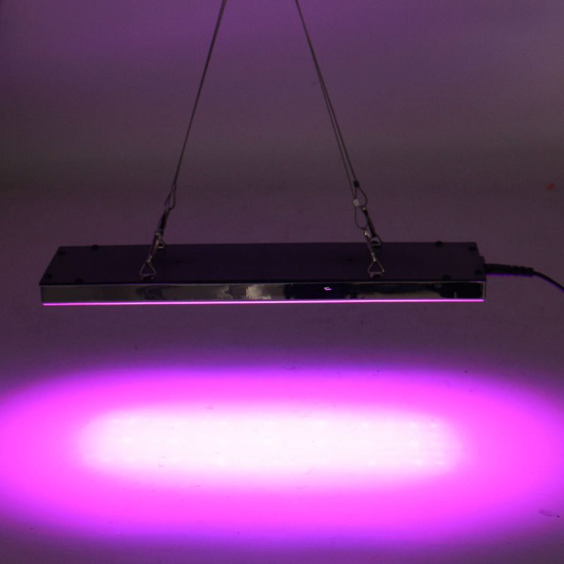 800 W Led Grow Light Täyden Spektrin Kasvava Kasvilamppu Vesiviljelyyn Sisätiloihin