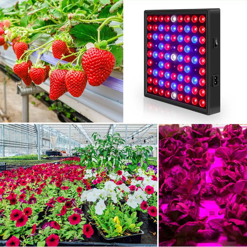 Ac110-240v Led Grow Light Täyden Spektrin Kasvilamppu Sisätilojen Hydroponisiin Kasviskukkiin