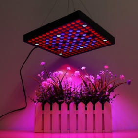 Ac110-240v Led Grow Light Täyden Spektrin Kasvilamppu Sisätilojen Hydroponisiin Kasviskukkiin